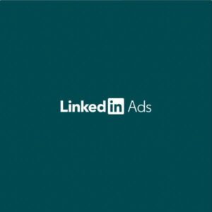 LinkedIn Ads Management