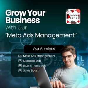 Meta Ads Management