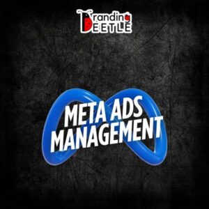 Meta Ads Management - Facebook & Instagram