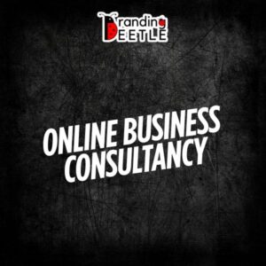 Online Business Consultancy