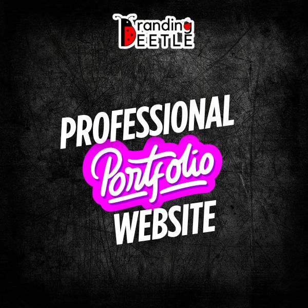 Professional Portfolio Website Professional Portfolio Website