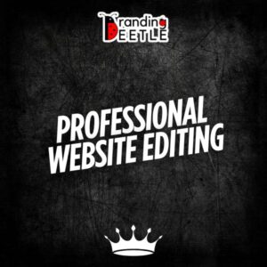 Professional Website Editing