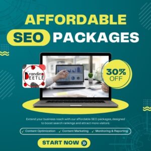 SEO Search Engine Optimization