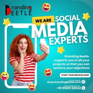 SMO Social Media Optimization