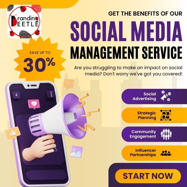 SMO social media management SMO social media management