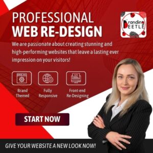 professional web redesigning services