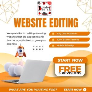 website editing services